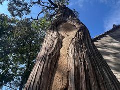 -终南山南五台景区