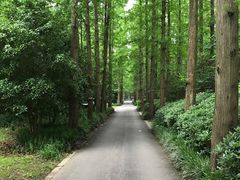 -上海怡沁园度假酒店