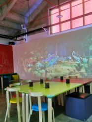 -恐龙探索乐园(磁器口店)