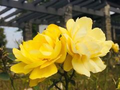 -龙寺生态园