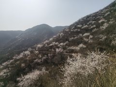 -灵溪风景区
