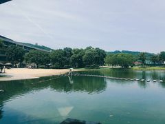 -上海佘山世茂艾美酒店