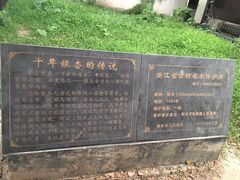 -茅盾纪念堂
