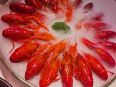 经典冰镇龙虾-红盔甲·小龙虾(天钥桥店)