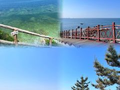 -养马岛旅游度假区