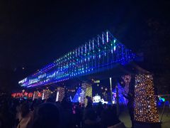 -飞凤山奥体公园