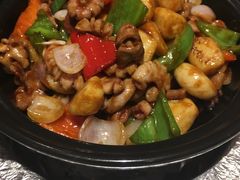 -金蝉食府(维吉奥广场店)