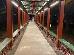 -迎泽公园
