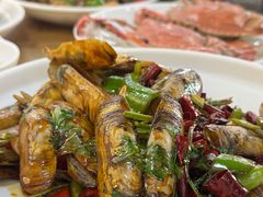 蛏子-渔家乐小海鲜(皇姑店)