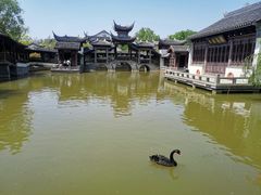 -宛园