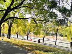 -元大都城垣遗址公园