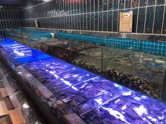 -海韵之星邮轮水会(明发商业广场店)