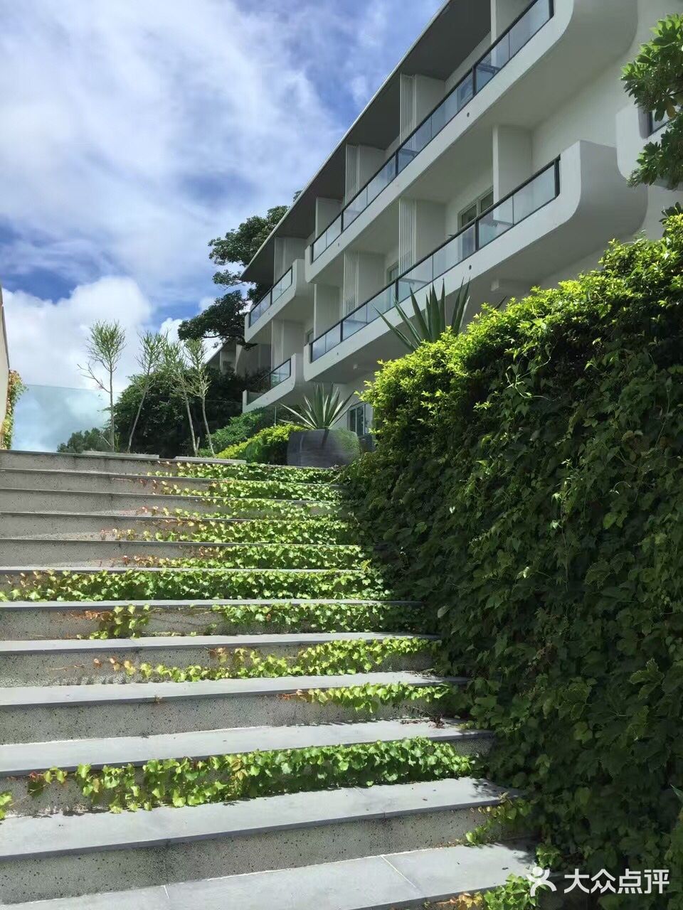 【万物复苏】彩云之滇，一线连天