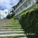 【万物复苏】彩云之滇，一线连天