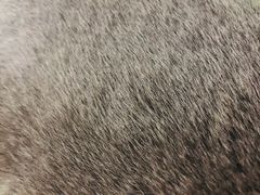 -美联众合24小时·皮肤科·外科·全科诊疗中心(华苑分院)