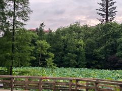 -雀儿山公园