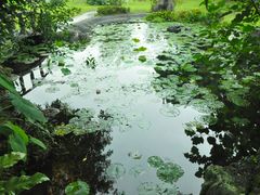 -太鲁阁公园