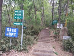 -紫金山山顶公园