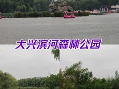 -大兴滨河森林公园