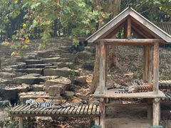 -扬州市茱萸湾风景区