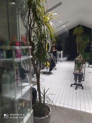 -大象造型