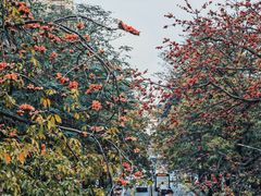 -晓港公园