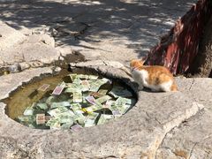 -青州市云门山风景区