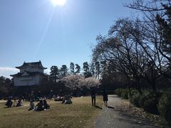 -名古屋城