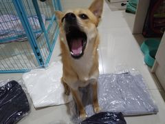 -优衣库(温州财富购物中心店)