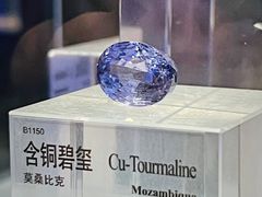 -中国地质博物馆