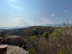 -白水寺森林公园