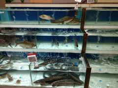 -盒马鲜生(悦峰店)