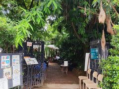-Fern Forest Cafe