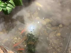 -兰木肆·云南菜(龙湖U城天街店)