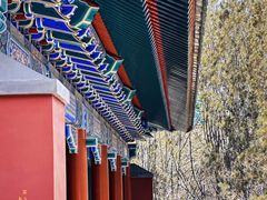 -颐和园