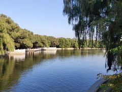 -北陵公园