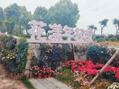 -春花秋色城市公园
