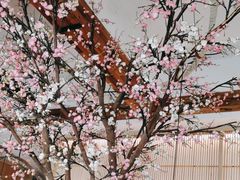 -蜜桃餐厅·伴山(湖滨商业街店)