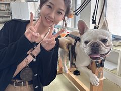 -派美特宠物医院·核磁CT·骨科肿瘤·疑难转诊(沈农禾丰店)