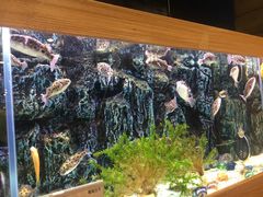 -龟与熊猫宠物公园(南坪店)
