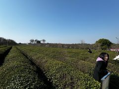 -凤凰沟景区