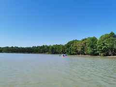 -上海海湾国家森林公园