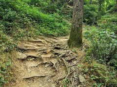 -秦岭风景区
