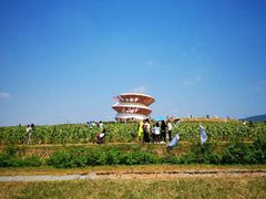 -光明小镇欢乐田园