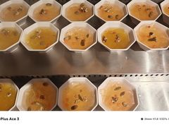 -成老灶火锅鸡(平山店)