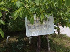 -第五季龙水凤港生态露营农场