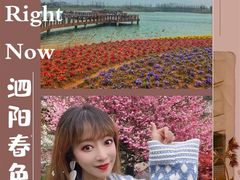 -江苏省泗阳县成子湖旅游度假区综合服务中心-停车场