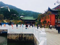 -六祖寺