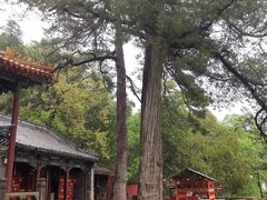 -潭柘寺景区