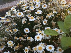 -南紀白浜 浜千鳥の湯 海舟